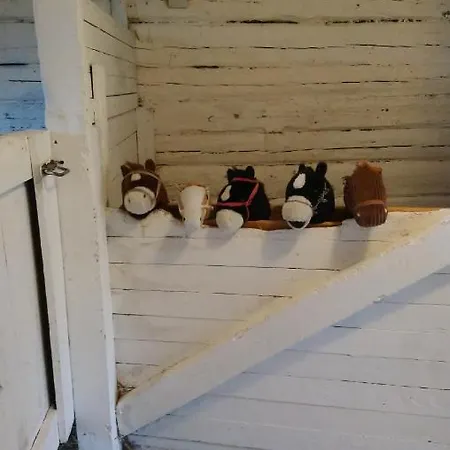 Villa Hirvaskosken Kartano